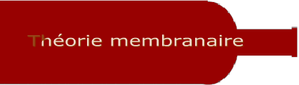 Thorie membranaire