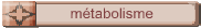 mtabolisme